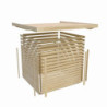Abri de jardin en bois massif brut 4,54m² Merseburg 4 - Karibu