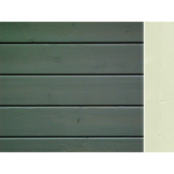 Abri en bois vitrifié gris 19mm 4.62m² Glücksburg 3 - Karibu