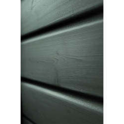 Abri en bois vitrifié gris 19mm 4.62m² Glücksburg 3 - Karibu