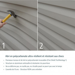 Abri de jardin en polycarbonate Gris Skylight Deco 5,28m² Palram - Canopia