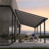 Grande pergola grise 3x9,15m + polycarbonate 16mm Olympia - Palram - Canopia