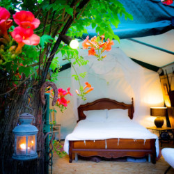 Abri de jardin vert Habrita de 9,30m² en toile renforcée