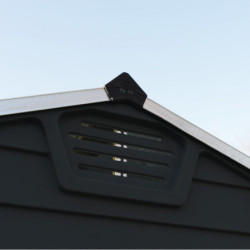 Abri de jardin Skylight 2,65m² Midnight grey de Palram - Canopia