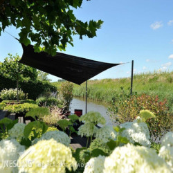 Voile d'ombrage Coolfit noir 500x500cm carrée NESLING