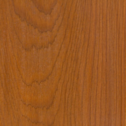 Lasure tous bois  - chêne clair 10L Environnement BLANCHON