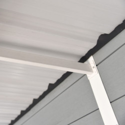 Abri toit plat en composite gris clair 4,41m² porte alu Woodlife Garden