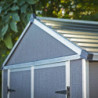 Abri de jardin 4,2m² en polycarbonate RUBICON - Palram - Canopia