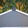 Abri de jardin 4,2m² en polycarbonate RUBICON - Palram - Canopia