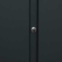 Abri toit plat en métal anthracite 3,92m² panneaux de 0.5mm - DURAMAX