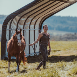 Abri pour animaux 49,6m² en acier et polyéthylène - Shelter Logic