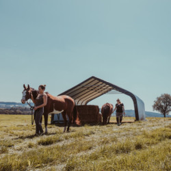 Abri pour animaux 49,6m² en acier et polyéthylène - Shelter Logic