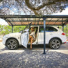 Carport 1 voiture en alu gris et polycarbonate Arcadia 6400 - Canopia