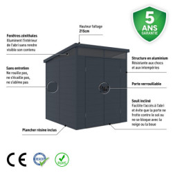 Abri de jardin toit plat polypropylène anthracite 190x192cm Jôbu
