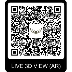 Abri Moderne 13,8m² en bois massif 44mm+porte+2 fenêtres Gardenas