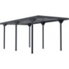 Carport en acier galvanisé anthracite 284x546cm toit plat - X-METAL