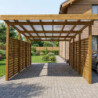 Carport en bois traité marron 17m² monopente - Gardy Shelter