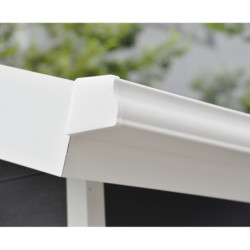 Abri toit monopente composite couleur anthracite 12m² Woodlife Garden