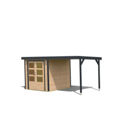 Abri de jardin 4,45m² Jupiter A - acier gris - appentis - Karibu