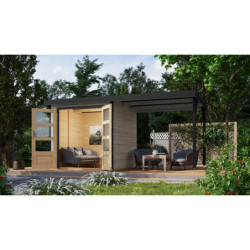 Abri 4,45m² Jupiter D - acier gris anthracite - appentis - Karibu