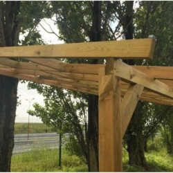 Toit de terrasse - 300x300cm - bois massif - Chalet et Jardin