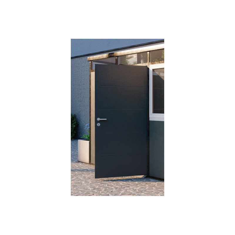 Porte simple supplémentaire pour atelier de jardin Everbox