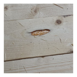 Abri de jardin toit plat 12m² PENTY BIS 40mm - Gardy Shelter