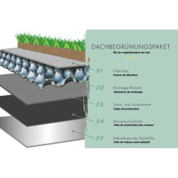 Abri de jardin en bois 15,7m² Lily avec kit de végétalisation - Karibu