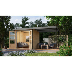 Abri de jardin 4,45m² Jupiter 2A - acier gris alu - appentis - Karibu