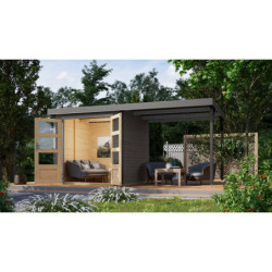 Abri de jardin 4,45m² Jupiter 2B - acier gris alu - appentis - Karibu