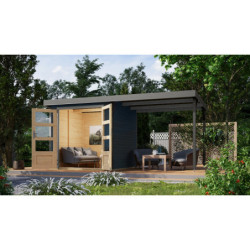 Abri de jardin 4,45m² Jupiter 2C - acier gris alu - appentis - Karibu