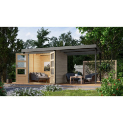 Abri de jardin 4,45m² Jupiter 2D - acier gris alu - appentis - Karibu