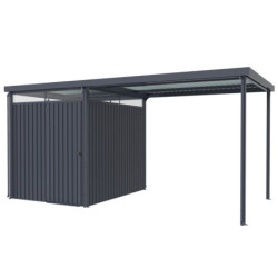 Abri de jardin Rheinfelden 78 avec appentis de 6,63m² - Vitavia