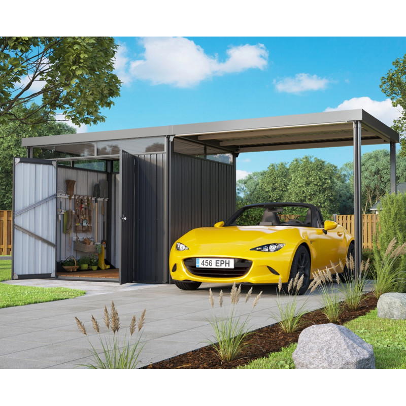 Abri de jardin Rheinfelden 108 - appentis 6,63m²  - Vitavia