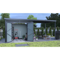 Abri de jardin Rheinfelden 108 - appentis 6,63m²  - Vitavia
