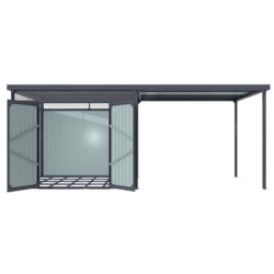 Abri de jardin Rheinfelden 108 - appentis 6,63m²  - Vitavia