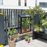 Mini serre de jardin en verre, polycarbonate, PVC ou tunnel souple ?