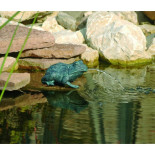 Gargouilles pour bassin