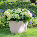 Pots et jardinières en plastique